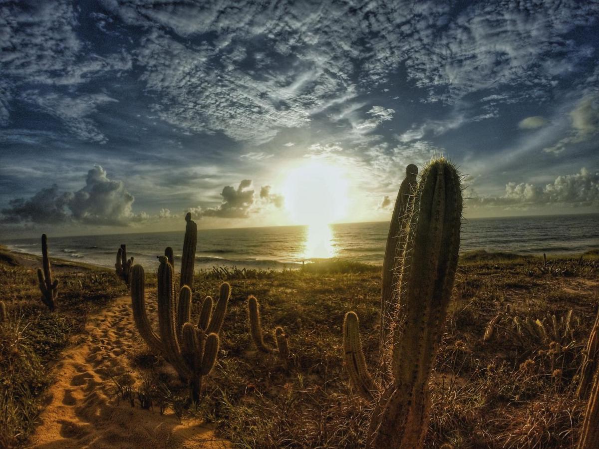 Tropical Hostel Praia de Pipa ภายนอก รูปภาพ