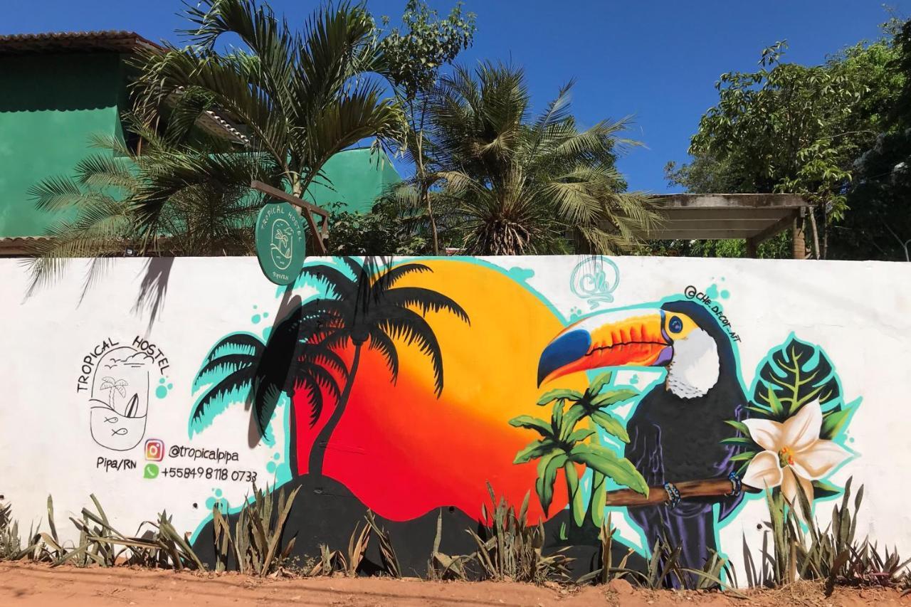 Tropical Hostel Praia de Pipa ภายนอก รูปภาพ